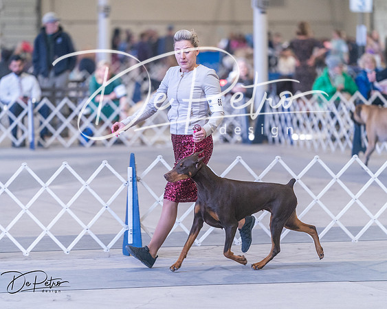 20250302-DSC06735