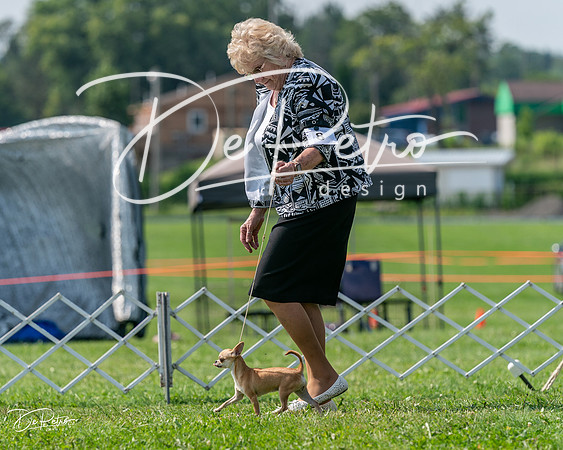20240816-DSC01053