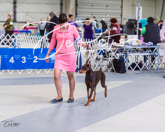 20220306-DSC00707