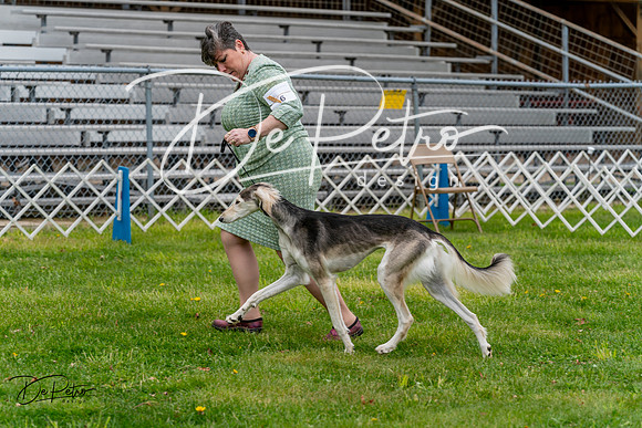 20240428-DSC08439