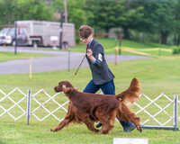 20250626-DSC03919