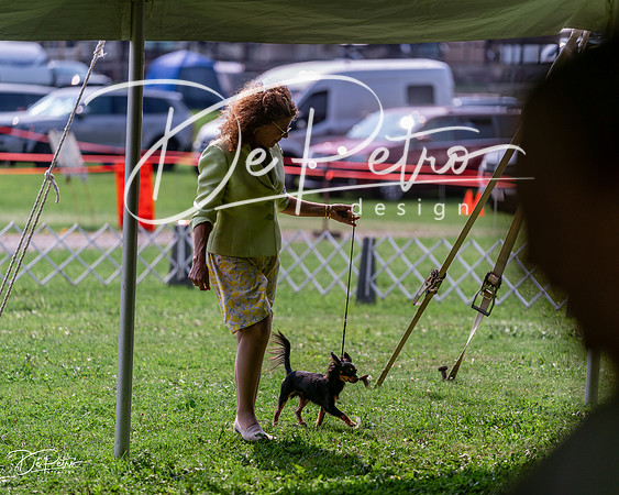 20240815-DSC06523
