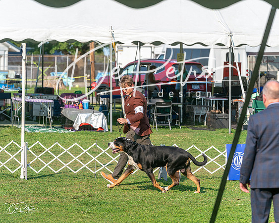 20240913-DSC00230