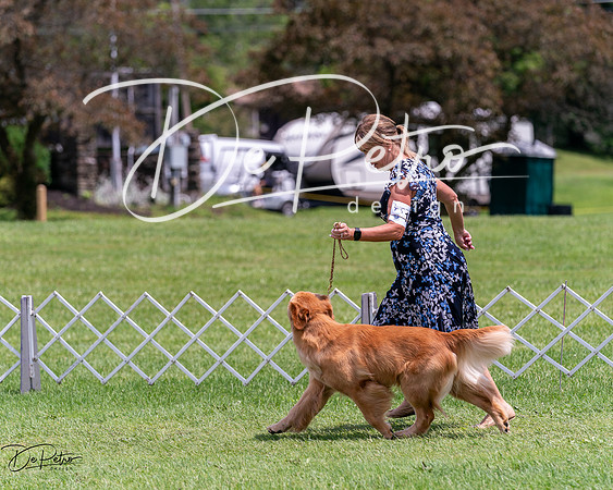 20240630-DSC00518