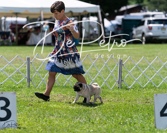 20240630-DSC01395