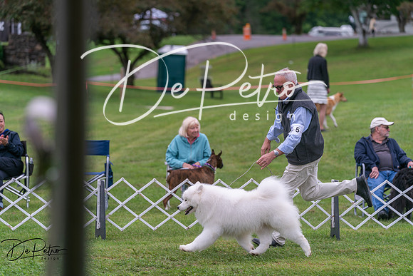 20250627-DSC05940