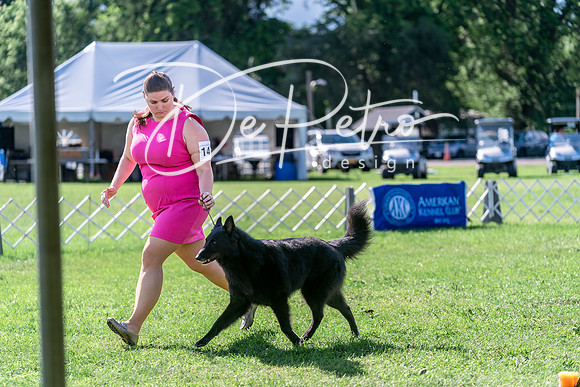 20240630-DSC04666