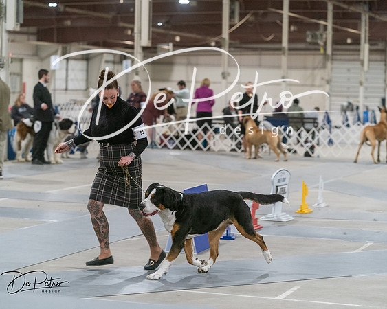 20250302-DSC07641