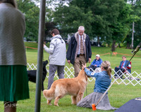 20250626-DSC03952