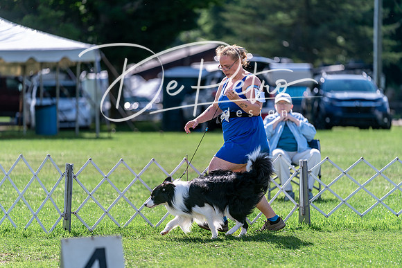 20240630-DSC04804