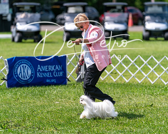20240630-DSC01652