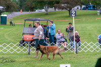 20250627-DSC06122