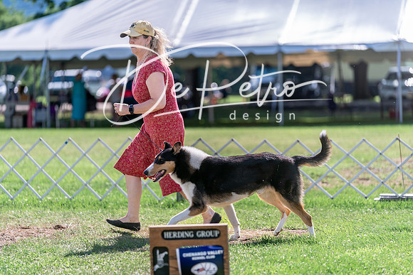 20240630-DSC04720