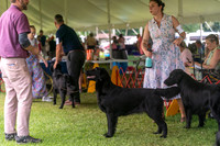 20250622-DSC01650