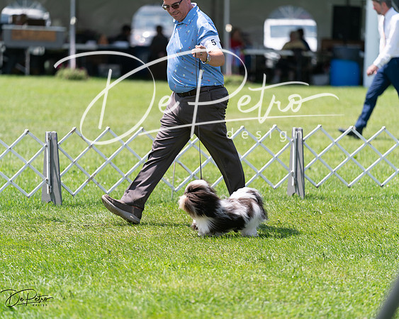 20240630-DSC01523