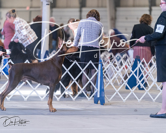 20250302-DSC06334