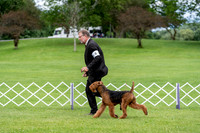 Chenango Valley Sunday Terrier