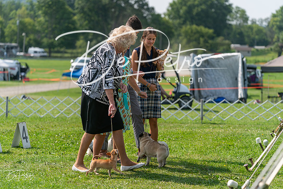 20240816-DSC00508