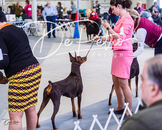 20220306-DSC00769
