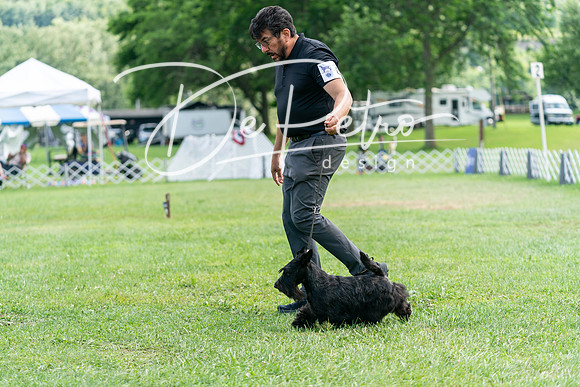 20240630-DSC05490