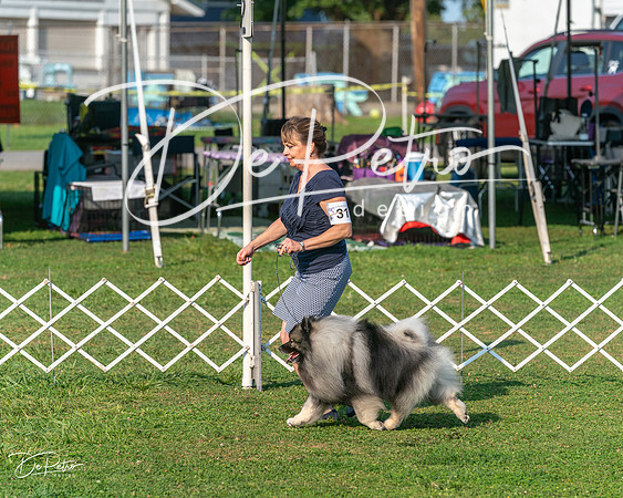20240913-DSC00342