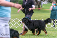 20250628-DSC07510