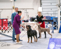 Governor's Foot Guard Best in Show 3/1/25