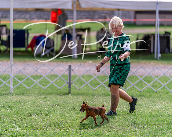 20240815-DSC06515