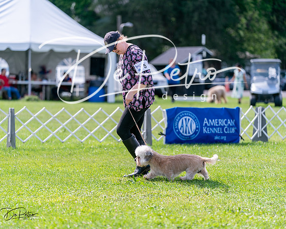 20240630-DSC03628