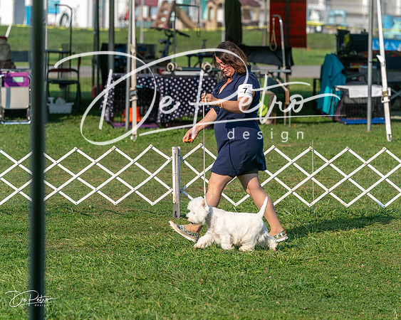 20240913-DSC00405
