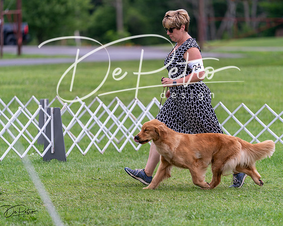 20240630-DSC00783