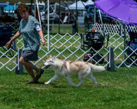 20250629-DSC09319