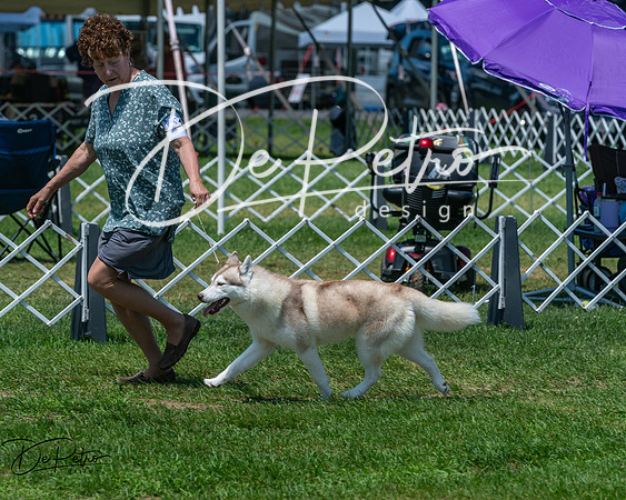 20250629-DSC09319
