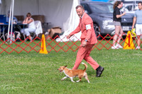 20250621-DSC09360