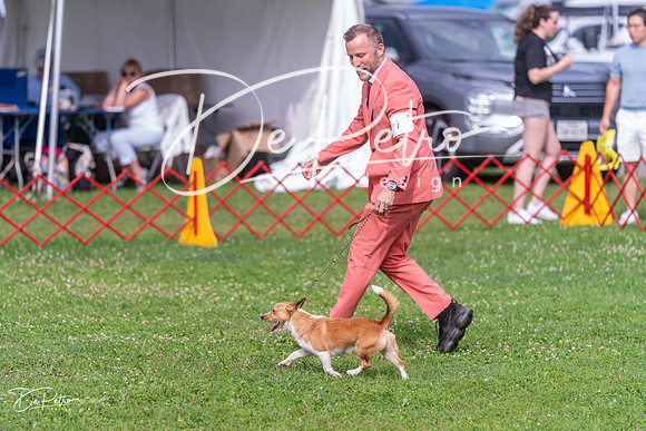 20250621-DSC09360
