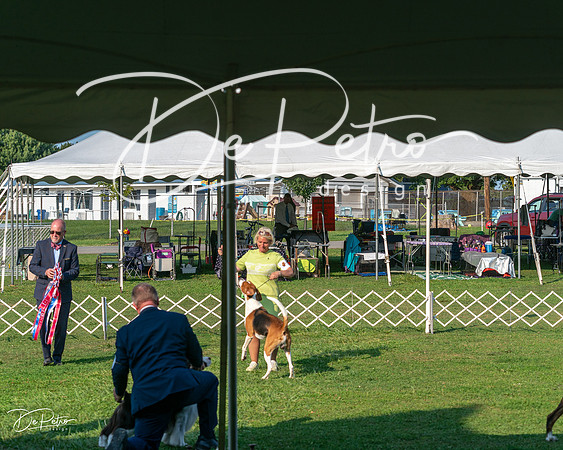 20240913-DSC00499