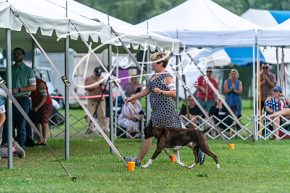 20240630-DSC05401