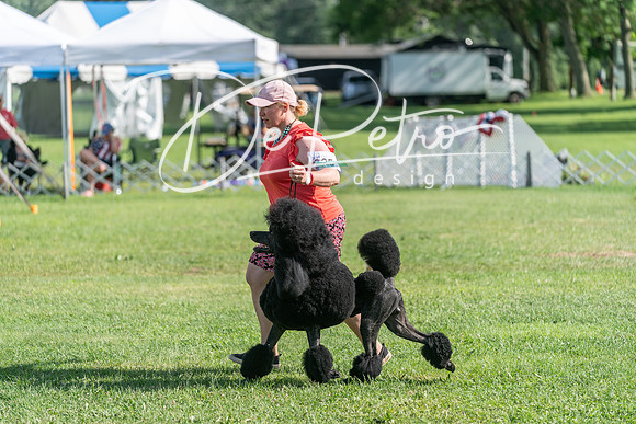 20240630-DSC05190