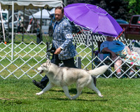 20250629-DSC09363