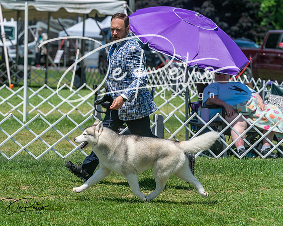 20250629-DSC09363