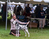 20250627-DSC06487