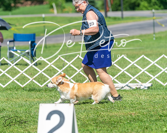 20250629-DSC00861