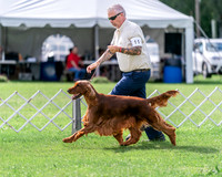 20240630-DSC03903