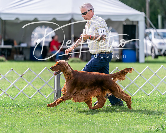 20240630-DSC03903