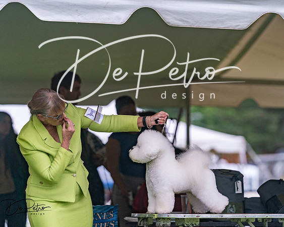 20250627-DSC06674