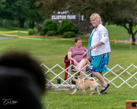 20250626-DSC03055