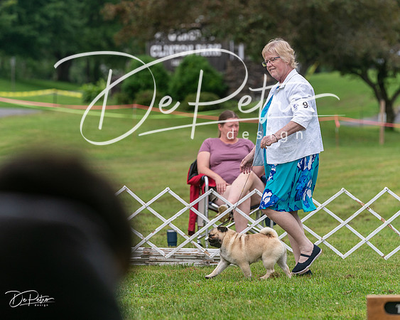20250626-DSC03055