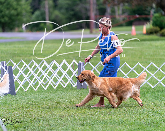 20240630-DSC00146