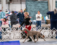 20250301-DSC04564