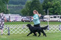 20250626-DSC02272